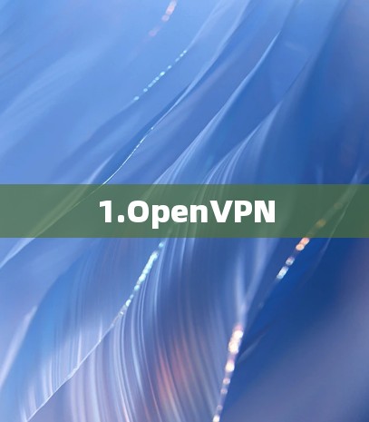1.OpenVPN 1.OpenVPN