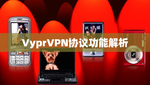 VyprVPN协议功能解析