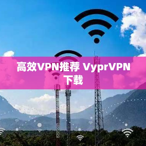 高效VPN推荐 VyprVPN下载