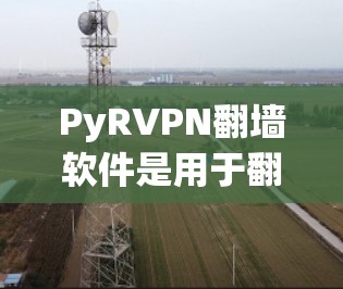 PyRVPN翻墙软件是用于翻墙并连接到互联网的工具，适合通过多种网络类型连接，包括Wi-Fi、手机数据、移动数据等。它提供了多种连接方式，适合不同设备的使用。以下是基于上述思考的总结