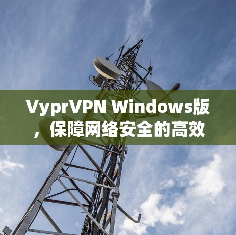 VyprVPN Windows版，保障网络安全的高效连接工具