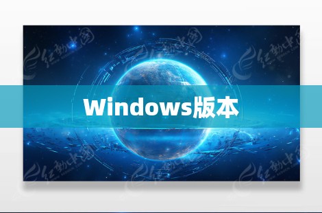 Windows版本