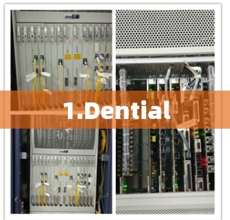 1.Dential