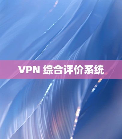VPN 综合评价系统