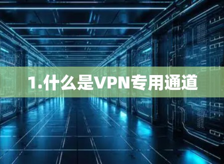 1.什么是VPN专用通道