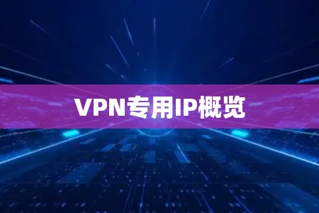 VPN专用IP概览