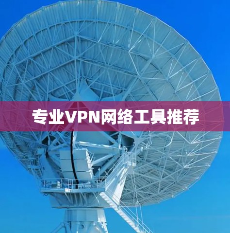 专业VPN网络工具推荐 专业VPN网络工具推荐