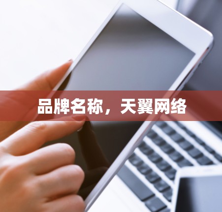 品牌名称,天翼网络 品牌名称,天翼网络