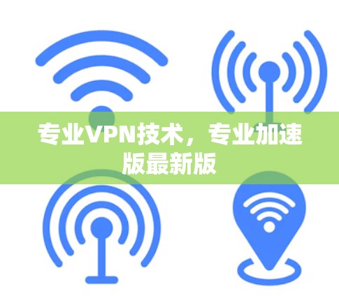专业VPN技术，专业加速版最新版