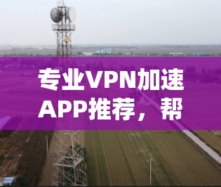 专业VPN加速APP推荐，帮助你轻松连接世界