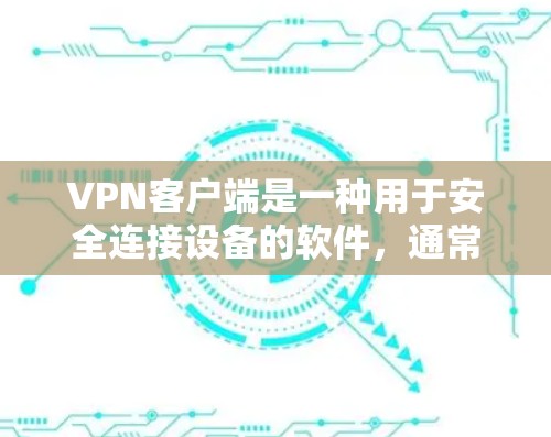 VPN客户端是一种用于安全连接设备的软件，通常支持互联网和手机、平板等设备。以下是关于专业版VPN客户端的详细信息