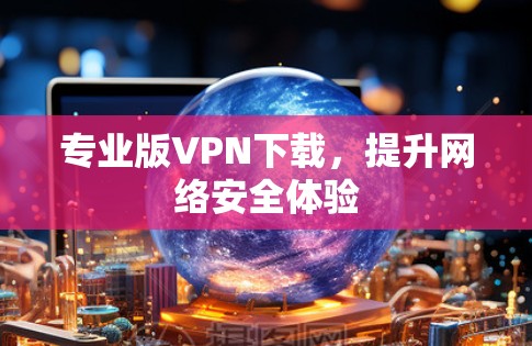 专业版VPN下载，提升网络安全体验