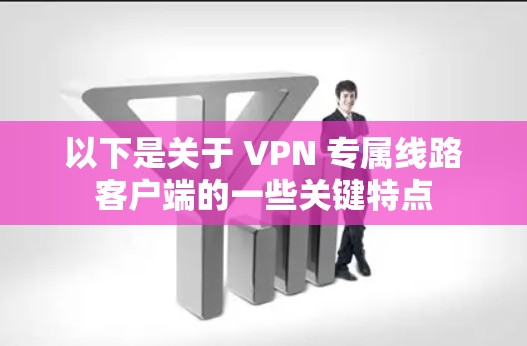 以下是关于 VPN 专属线路客户端的一些关键特点