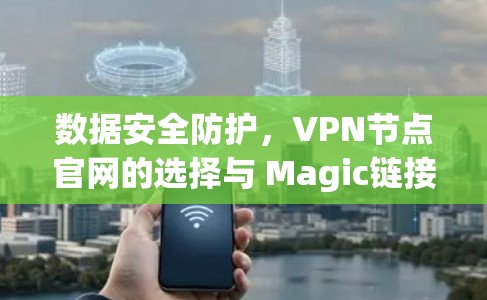 数据安全防护,VPN节点官网的选择与 Magic链接