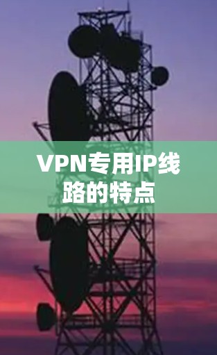 VPN专用IP线路的特点