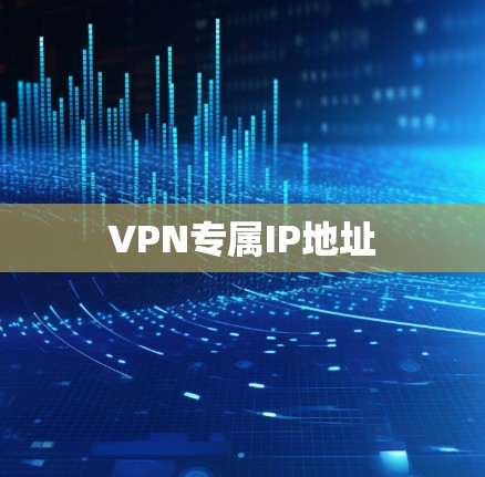 VPN专属IP地址